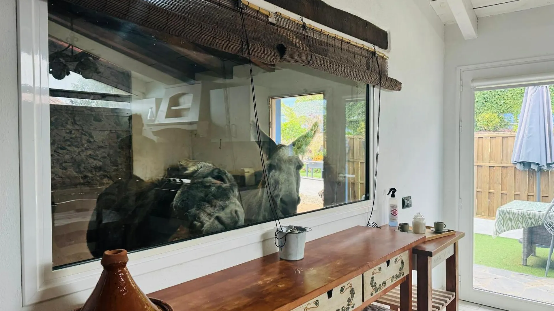 Casa Antigua Villa La Esperanza  Holiday home